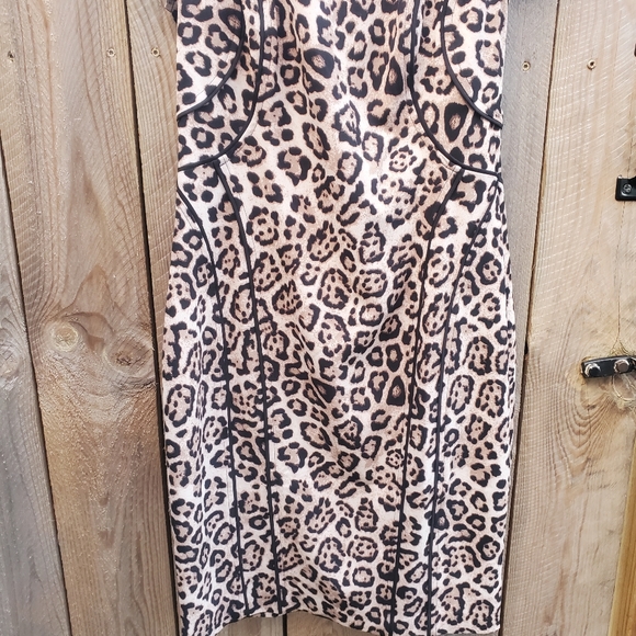 Victoria's Secret Cap Sleeve Leopard Print Dress Women's Size 4 EUC - Picture 4 of 7